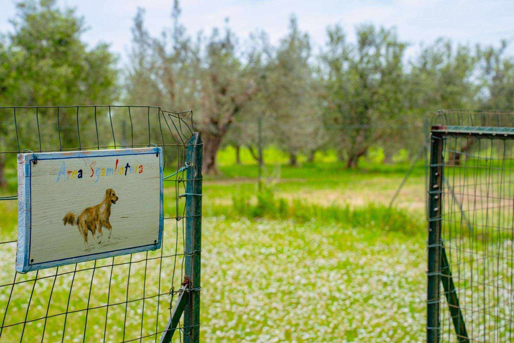 Appartamenti a Vignarca - Località Perelli Riotorto Exterior foto