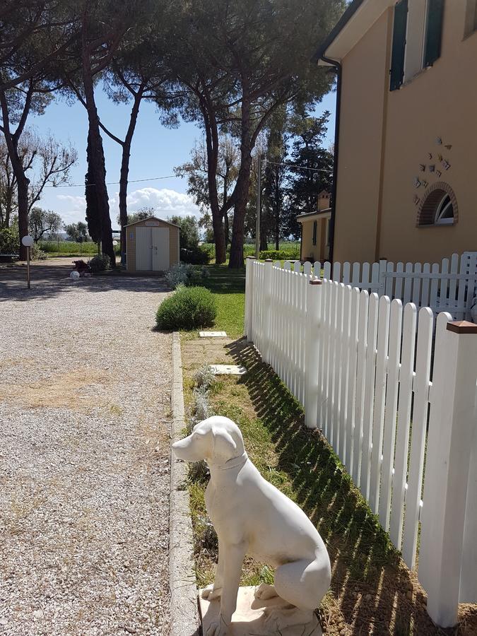 Appartamenti a Vignarca - Località Perelli Riotorto Exterior foto